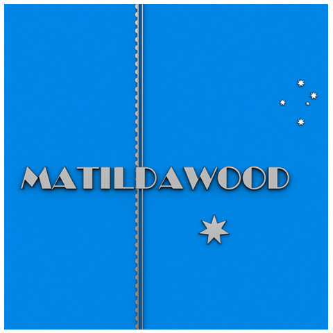 Fat Turtle Game Studio